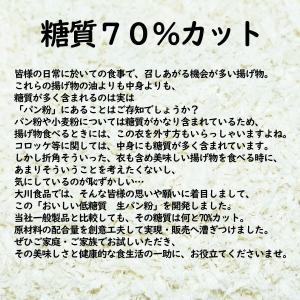 おいしい低糖質 生パン粉 100g 3袋セット...の詳細画像1