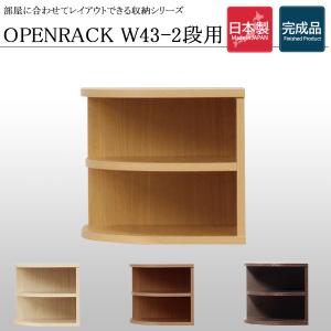 コーナーラック ラック 飾り棚 オープンラック 幅43 収納家具 三角 棚