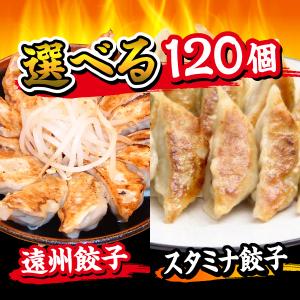 餃子  お取り寄せ 120個 ぎょうざのたれ付き ご当地グルメ 静岡産直｜ookifoods