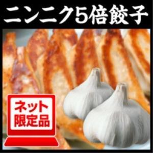 餃子 メガ盛り120個 お取り寄せ ニンニク5倍餃子 ぎょうざのたれ付き ビール おつまみ｜ookifoods