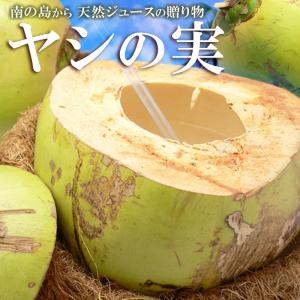 ヤシの実(5玉)フィリピン産 やしの実 ジュース 椰子