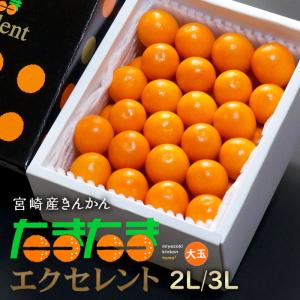 ハウス せとか 2L-3L (約3kg) 愛媛/佐賀産 秀品 贈答 ギフト セトカ