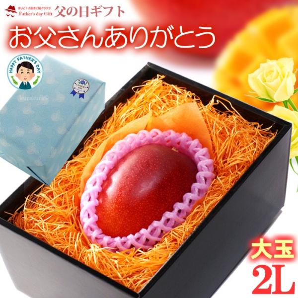 父の日 ギフト 宮崎マンゴー (2L×1玉/約350g) 宮崎産 秀品 父の日ギフト 専用 宮崎 完...