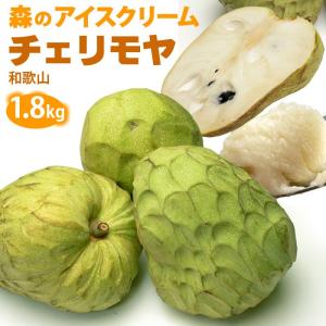 チェリモヤ(約1.8kg)和歌山産 国産 世界三大美果