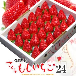 ひのしずく いちご デラックス (約300g×2P) 熊本産 ひのしずくDX 贈答