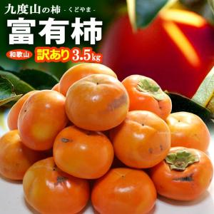 コクワ（サルナシ）500g×1パック 北海道産こくわ 出荷時期：9月