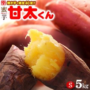甘太くん S (5kg) 大分産 紅はるか かんたくん かんた 蜜 芋 甘い ネットリ 高糖度 さつま芋 サツマイモ 甘藷 焼き芋 焼いも 薩摩芋 サツマイモ 甘太くん 爆買