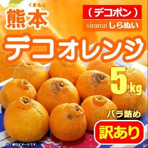 訳ありデコオレンジ(約5kg)熊本産 デコポン みかん 送料無料