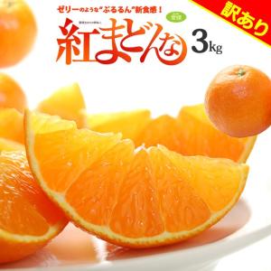 家庭用 訳あり 紅まどんな (約3kg) 愛媛産 べにまどんな 紅マドンナ ベニマドンナ みかん ミカン 蜜柑 柑橘 3キロ フルーツ 果物 みかん ワケアリ 訳アリ 爆買