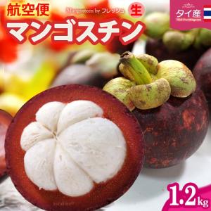 フレッシュ 生 マンゴスチン (約1.2kg) タイ産 まんごすちん 世界三大美果 トロピカルフルーツ 食品 フルーツ 果物 マンゴスチン