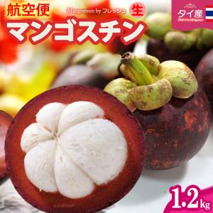 フレッシュ 生 マンゴスチン (約1.2kg) タイ産 まんごすちん