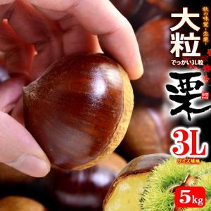 栗 3L (約2kg) 熊本・愛媛・茨城産 大粒 和栗 生栗 くり クリ 食品