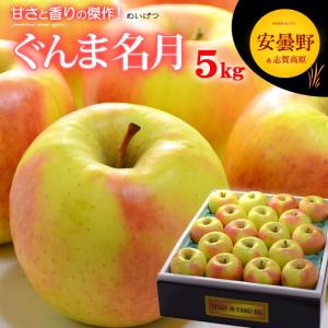 ぐんま名月 りんご (5kg) 長野産 秀品 贈答用 名月りんご ぐんま名月 めいげつ メイゲツ apple ringo リンゴ 林檎 フルーツ 果物 りんご ギフト 贈答 お供 爆買
