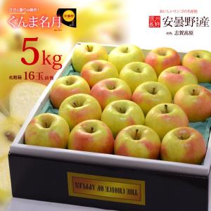 ぐんま名月 りんご (5kg) 長野産 秀品 ...の詳細画像3