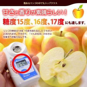ぐんま名月 りんご (5kg) 長野産 秀品 ...の詳細画像1