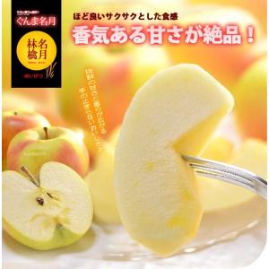 ぐんま名月 りんご (5kg) 長野産 秀品 ...の詳細画像2