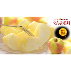 ぐんま名月 りんご (5kg) 長野産 秀品 ...の詳細画像4