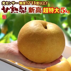 甘熟 新高梨 7L (約5kg) 産地はお任せ 秀品 糖度12度以上 梨 なし ナシ pear 超特大 新高梨 食品 フルーツ 果物 和梨 新高 爆買