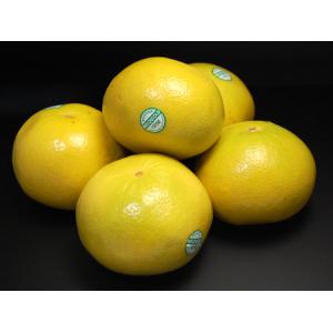 完熟 メロゴールド 特大 (5玉/約3.8kg...の詳細画像4