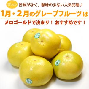 完熟 メロゴールド 特大 (5玉/約3.8kg...の詳細画像1