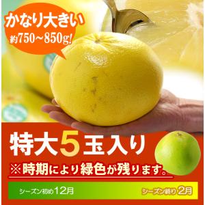 完熟 メロゴールド 特大 (5玉/約3.8kg...の詳細画像5