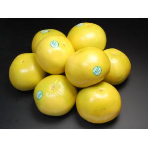 完熟 メロゴールド 特大 (8玉/約6.1kg...の詳細画像4