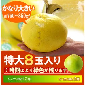 完熟 メロゴールド 特大 (8玉/約6.1kg...の詳細画像5