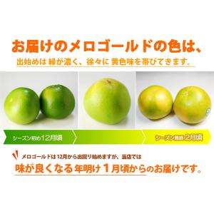 完熟 メロゴールド 特大 (18玉/約14kg...の詳細画像2
