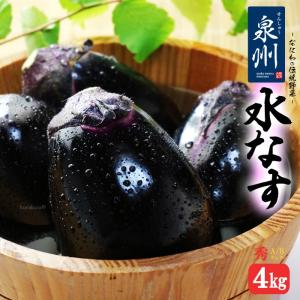 大阪泉州 ”水なす” 風袋込約2kg 訳あり ご家庭用【予約 3月以降