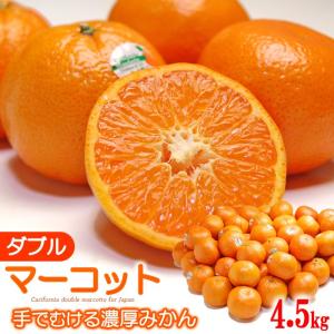 ダブルマーコット(4.5kg)アメリカ産 みかん×オレンジ 送料無料｜ookiniya