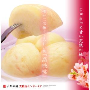山梨高糖度桃 糖度13度以上 (3L×6玉/約...の詳細画像4