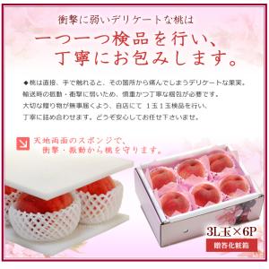 山梨高糖度桃 糖度13度以上 (3L×6玉/約...の詳細画像5