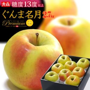 ぐんま名月 りんご (約2.7kg) 青森産 秀品 名月りんご めいげつ メイゲツ 名月 apple ringo リンゴ 林檎 フルーツ 果物 りんご お歳暮 御歳暮 ギフト 贈答 爆買