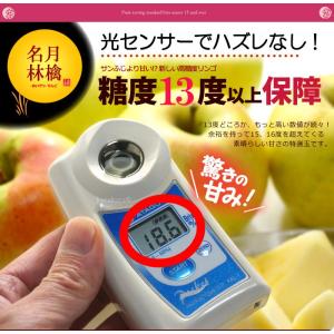 ぐんま名月 りんご (約2.7kg) 青森産 ...の詳細画像5