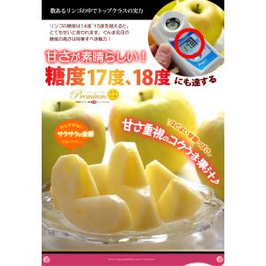 ぐんま名月 りんご (約2.7kg) 青森産 ...の詳細画像2