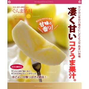 ぐんま名月 りんご (約2.7kg) 青森産 ...の詳細画像3