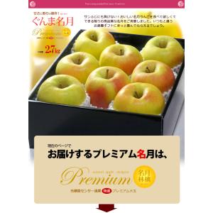 ぐんま名月 りんご (約2.7kg) 青森産 ...の詳細画像4