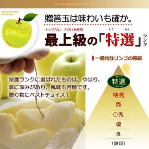 王林 プレミアム13 (約3.7kg) 青森産...の詳細画像5