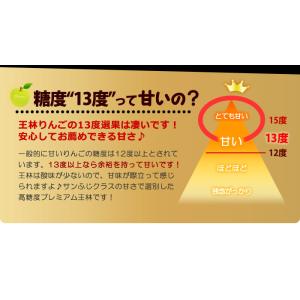 王林 プレミアム13 (約3.7kg) 青森産...の詳細画像2