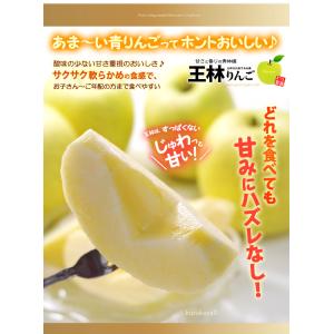 王林 プレミアム13 (約3.7kg) 青森産...の詳細画像4