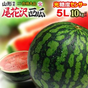 尾花沢すいか A品 (5L×1玉) 山形産 秀品 大玉 尾花沢スイカ スイカ すいか 西瓜 尾花沢 おばなざわ watermelon suika suica 光糖度センサー 糖度 空洞検査 果物