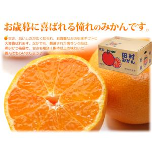 田村みかん 久右門 赤秀 (約5kg) 和歌山...の詳細画像3