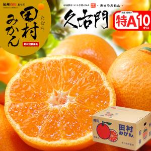 田村みかん 佐助 他2名 赤秀 (約10kg) 和歌山有田産 生産者限定 さすけ