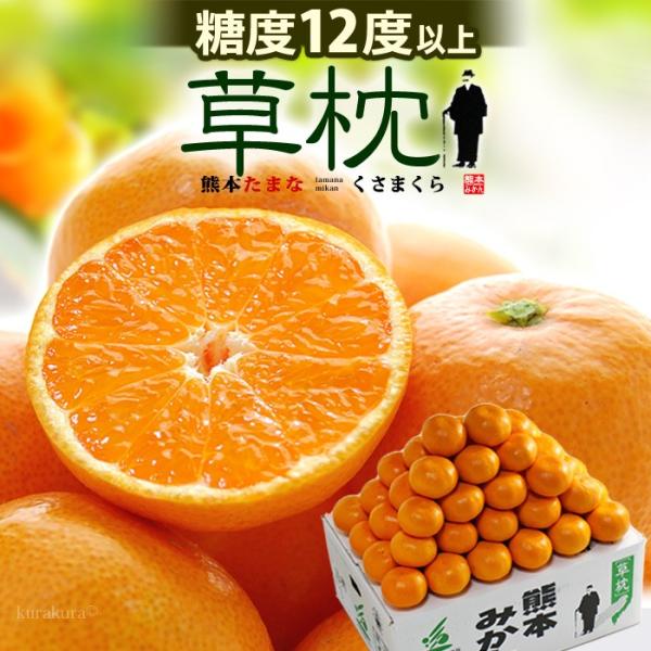 天水みかん 草枕 赤-青秀 S-M (約4kg) 熊本産 くさまくら 夏目漱石 糖度12度以上 贈答...