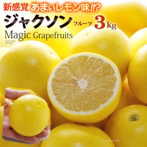 マジックグレープフルーツ ジャクソンフルーツ (14玉前後/約3kg) 南アフリカ産 新種 グレープフルーツ ぐれーぷふるーつ グレフル grapefruit ホワイト 白 柑橘｜ookiniya