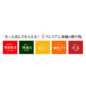 5プレミアム サンふじ りんご (約2.7kg...の詳細画像1