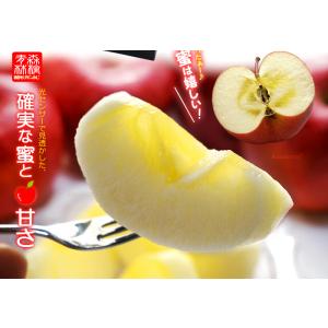 5プレミアム サンふじ りんご (約2.7kg...の詳細画像3