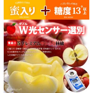 5プレミアム サンふじ りんご (約2.7kg...の詳細画像4
