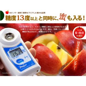5プレミアム サンふじ りんご (約2.7kg...の詳細画像5
