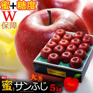 5プレミアム サンふじ りんご (約2.7kg) 青森・岩手産 大玉 サンフジ